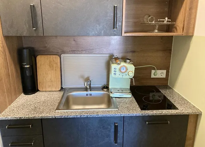 Nahe Gmunden 3 Apartament *